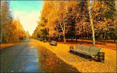 Quel est le métier de Céline Dion ?