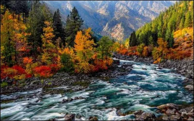 Quels véhicules pouvez-vous conduire avec un permis B ?