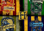 Test Quelle maison est pour toi dans ''Harry Potter'' ?