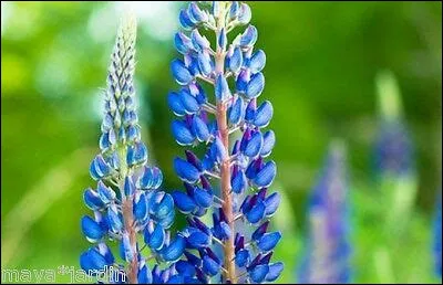 Quelle est cette couleur ?