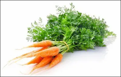 Quel pigment est la cause de la couleur de la carotte ?