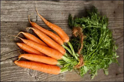 Quand la carotte des montagnes fleurit-elle ?