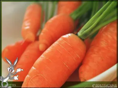 Lequel de ces animaux associe-t-on quand même souvent à la carotte ?