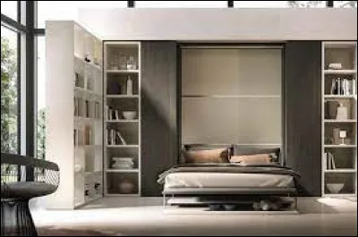 Tu connais l'histoire du lit vertical ?