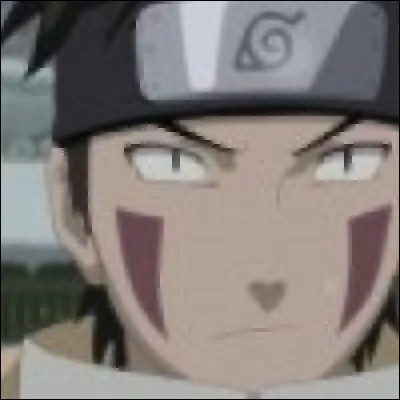 Il a un chien, c'est...