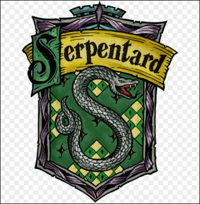 Que penses-tu des Serpentard ?