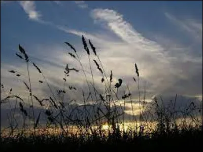 À quel interprète doit-on le titre "Je suis un soir d'été" ?