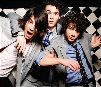 Quel est leur nom de famillle dans la srie ?