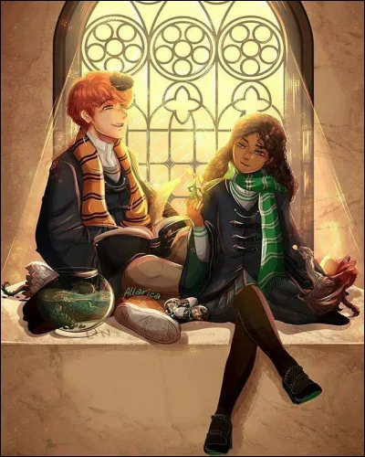 Sur cette image, on peut voir Ron Weasley et Hermione Granger.