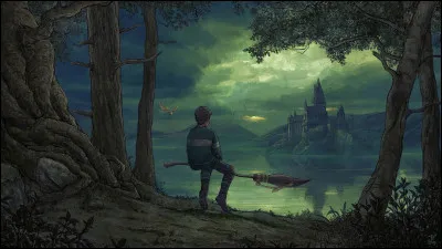 C'est Dobby qui a aidé Harry pour l'épreuve du lac.