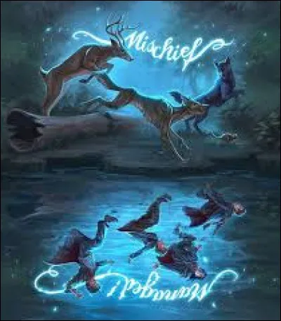 Notre Patronus est le même que notre Animagus.