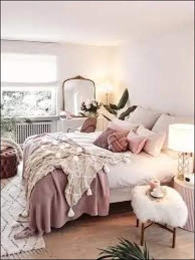 Quel est cet endroit de notre maison ?