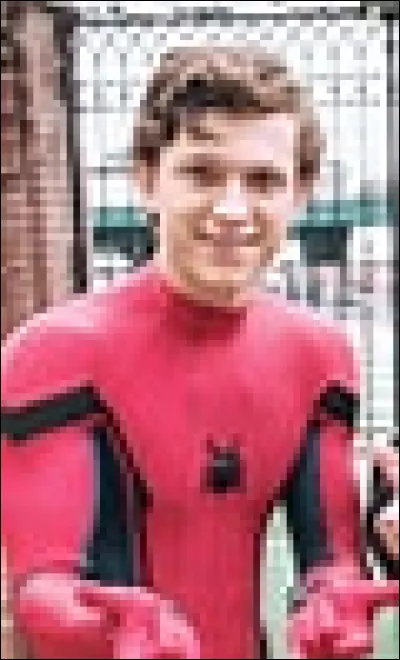 Quel est l'acteur qui incarne Peter Parker dans Spider-Man ?