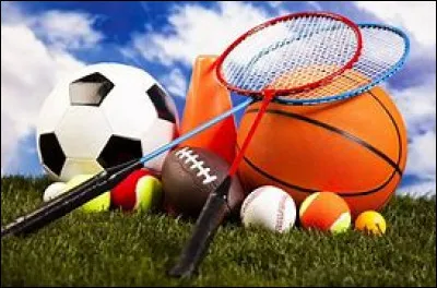 Quel sport pratique Wendie Renard ?