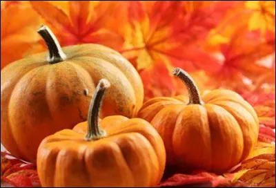 Comment appelle-t-on les feuilles de la citrouille à La Réunion ?