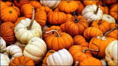 Si vous avez la tête comme une citrouille :