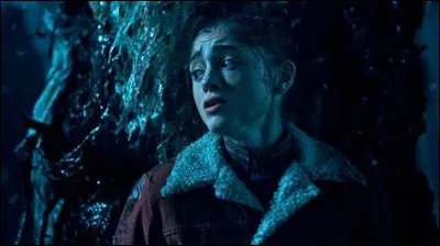 Que mettent les personnages dans l'eau de la baignoire pour qu'Eleven se rende dans l'upside-down ?