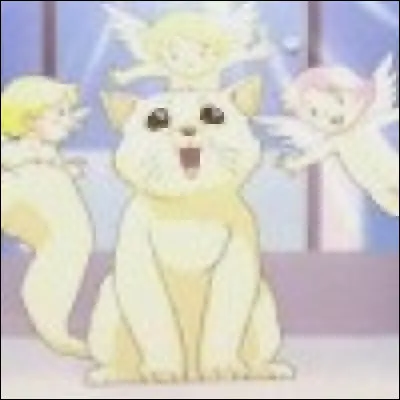 Est-ce un chat ou un chien ?