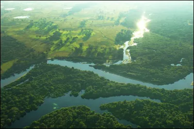 [Histoire]  Vers quelle année l'entreprise de colonisation du Brésil débuta-t-elle ?