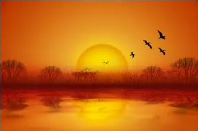 Quelle autoroute allant de Lyon à Marseille est surnommée "autoroute du soleil" ?