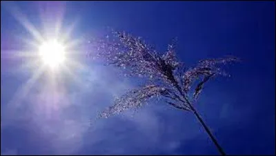 Qui chante "Ma vie au soleil" en 2012 ?