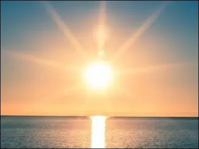 Qui a peint le tableau intitulé "Saules têtards au soleil couchant" ?