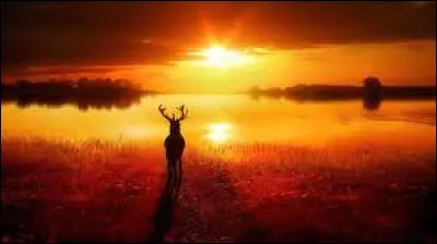 Quel pays d'Asie est désigné comme le "pays du soleil levant" ?