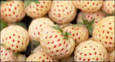 Quelles sont les couleurs de ce fruit et de ses graines ?