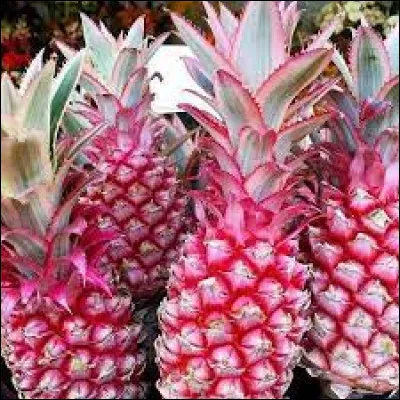 Quelle est la couleur de ce fruit ?