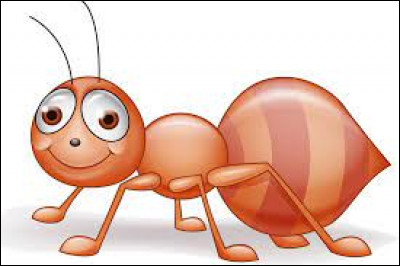 Comment dit-on "La fourmi" ?