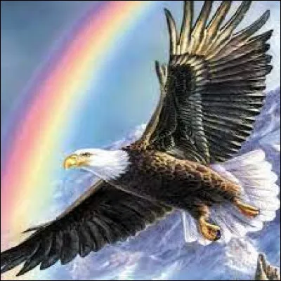Comment dit-on "L'aigle" ?