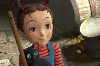 Comment est titr&eacute; ce film ?