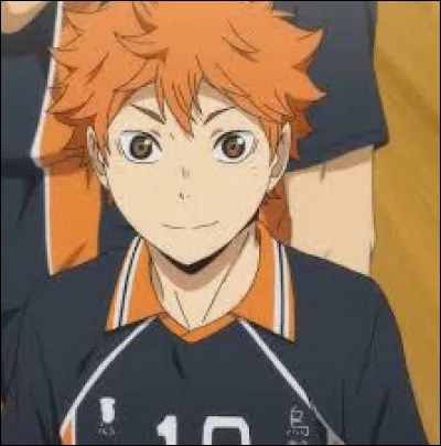 Comment s'appelle le protagoniste du manga "Haikyuu" ?