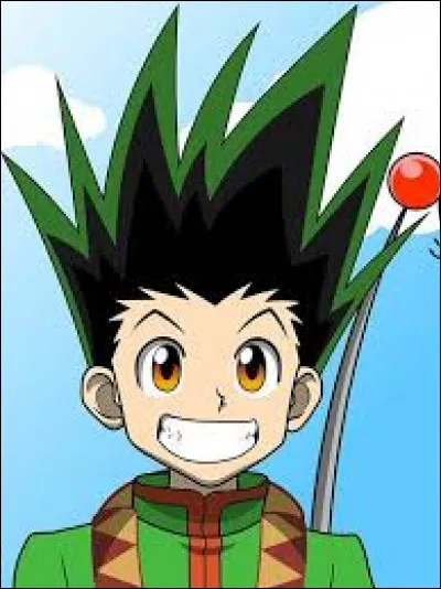 Comment s'appelle le protagoniste du manga "Hunter X Hunter" ?