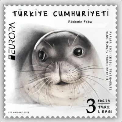 Turquie > Des [... ...] en Méditerranée ? Et pourtant si, mais gravement menacés !