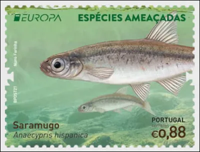 Portugal > Il est le seul représentant du genre : où vit-il ?