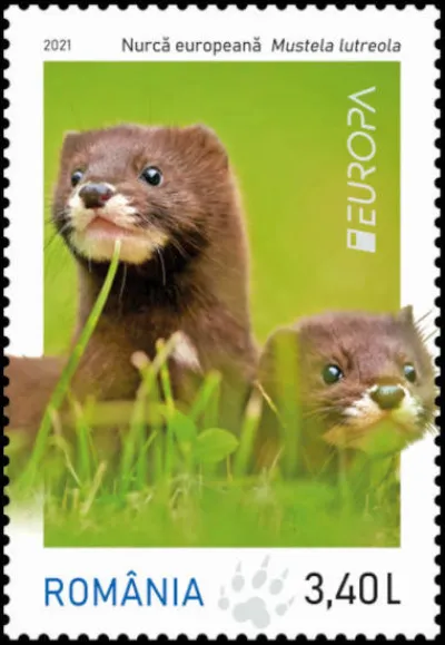 Roumanie > Vous n'êtes pas loin d'avoir une vision !