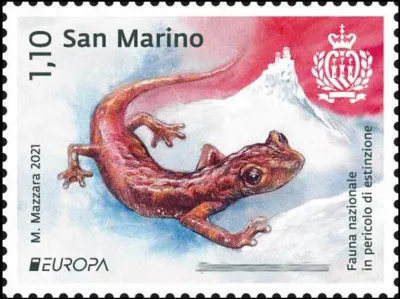 Saint-Marin > C'est une espèce d'urodèles de la famille des Plethodontidae. Son nom en français est ...