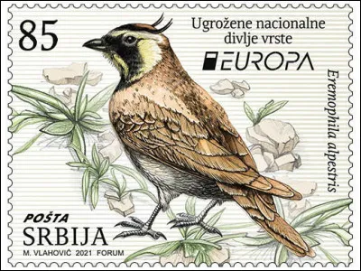 Serbie > Si vous plumez celle-ci, cela risque de vous coûter cher !