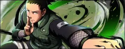 Il a été entraîné par Asuma. Il est très intelligent et son nom de famille est Nara.