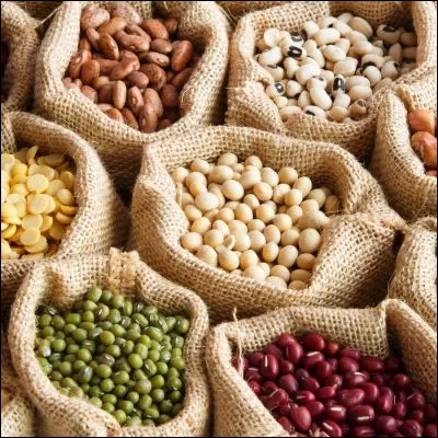 Quelle l&eacute;gumineuse, qui est li&eacute;e &agrave; un &eacute;pisode biblique c&eacute;l&egrave;bre, poss&egrave;de des cultivars prot&eacute;g&eacute;s dans le Berry et dans la r&eacute;gion du Puy-en-Velay ?