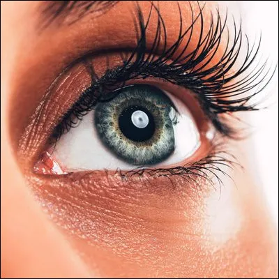 Quel organe vascularis&eacute; par l�art&egrave;re lacrymale peut &ecirc;tre touch&eacute; par un ptosis ?