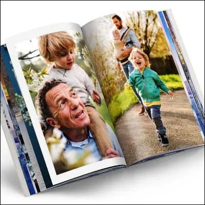 Quel terme venant du mot latin signifiant "&ecirc;tre blanc" d&eacute;signe un recueil servant &agrave; conserver des images de collection ?