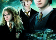 Quiz ''Harry Potter et la Chambre des secrets'' (1)