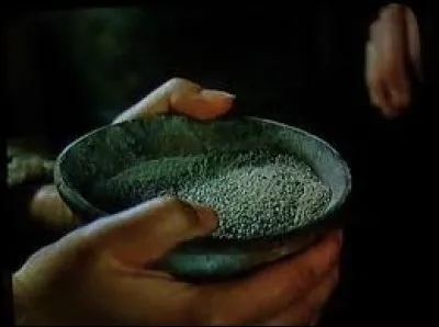 Comment Harry fait-il pour aller sur le Chemin de Traverse avec les Weasley ?