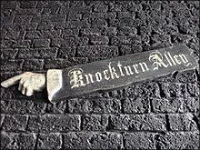 Malheureusement, il se perd. Où se retrouve-t-il ?