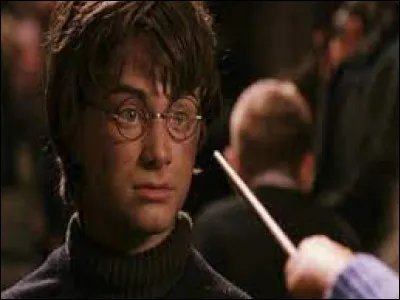 Qui est avec les Weasley quand Harry est là-bas ?