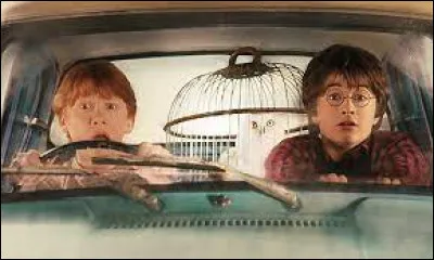 La barrière ne fonctionne pas quand Harry et Ron veulent traverser. Que font-ils ?
