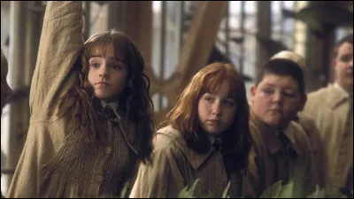 Et qu'apprennent-ils sur cette plante ?