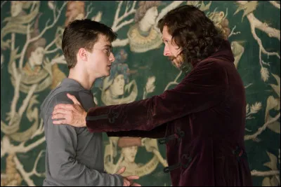 Quel lien de parenté unit Sirius et Harry ?